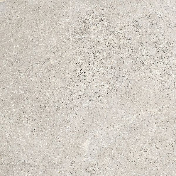 Bodenfliese Feinsteinzeug Kaspio Grau Glasiert Matt 59,8 cm x 59,8 cm günstig online kaufen