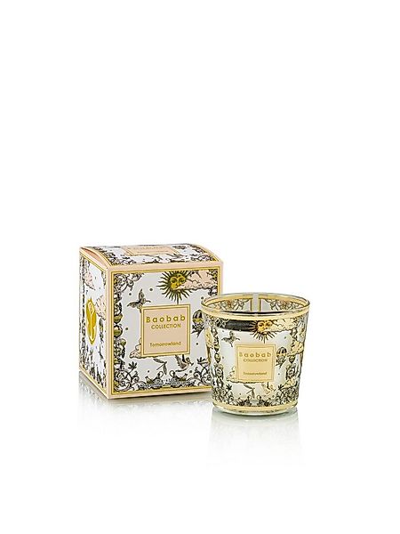 Baobab Duftkerze Baobab Duftkerze My First Baobab Tomorrowland günstig online kaufen