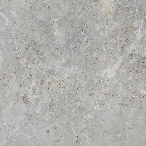 Bodenfliese Feinsteinzeug Grau 80 cm x 80 cm günstig online kaufen