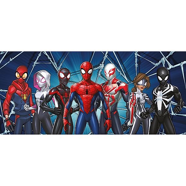 Sanders & Sanders Poster Spider-Man Rot Blau und Grau 0,9 x 2,02 m 601085 günstig online kaufen