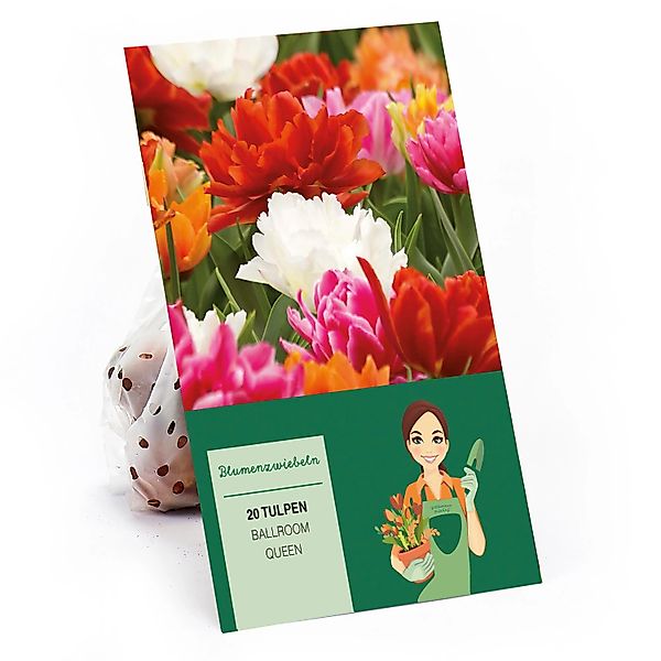 Tulipa Ballroom Queen Mischung 20 Stück Tulipa double early Ballroom Queen günstig online kaufen