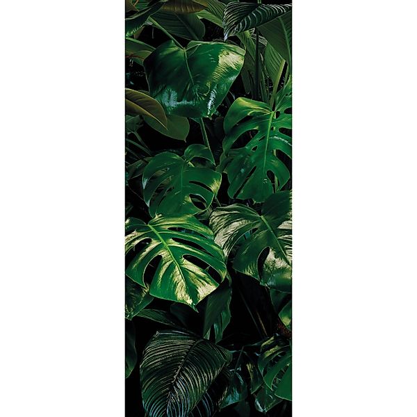 Komar Fototapete Vlies Tropical Wall Panel 100 x 250 cm  100 x 250 cm günstig online kaufen
