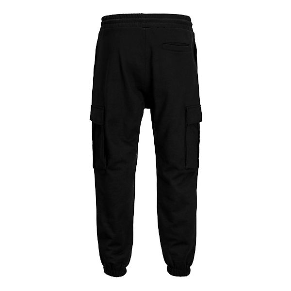 Jack & Jones Jogginghose JPSTKane Collective günstig online kaufen