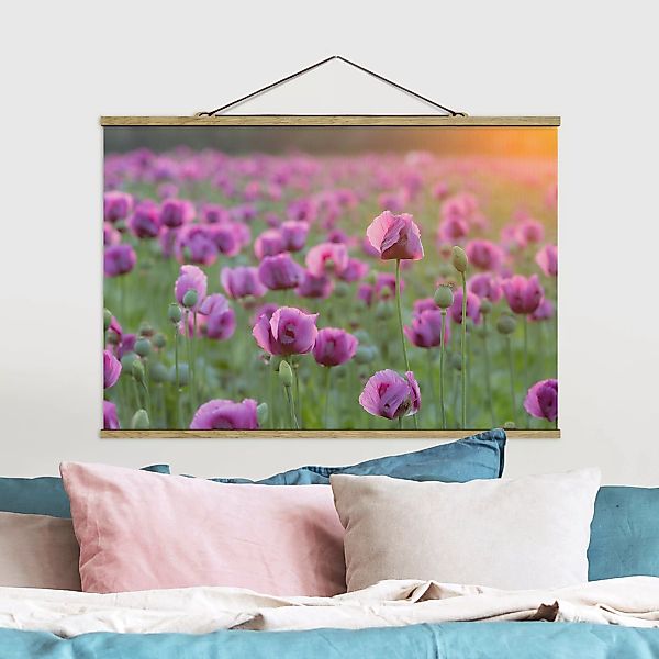 Stoffbild Blumen mit Posterleisten - Querformat Violette Schlafmohn Blumenw günstig online kaufen