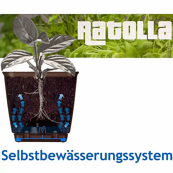 Balkonkasten Ratolla Umbra 49x16x17,5cm Bewässerungssystem günstig online kaufen
