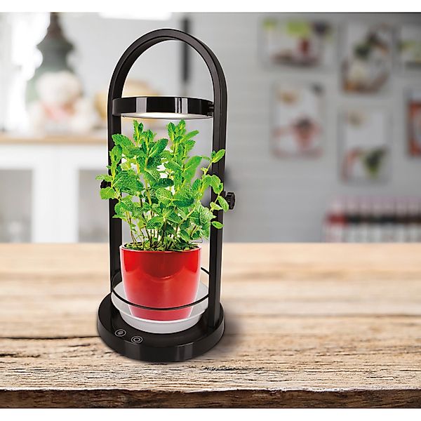 näve LED Tischleuchte »Grow Light«, 1 flammig, Wachstumsleuchte, USB-Kabel, günstig online kaufen