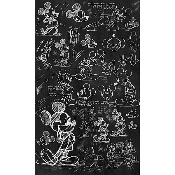 Komar Vliestapete »Digitaldruck Vlies - Mickey - Chalkboard - Größe 120 x 2 günstig online kaufen