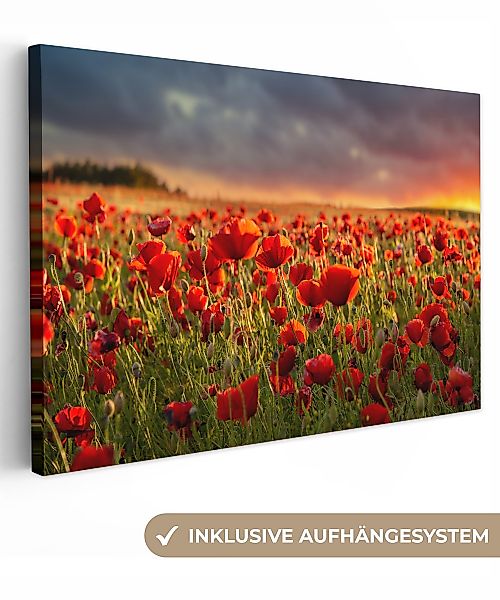 OneMillionCanvasses® Leinwandbild Sonnenuntergang - Mohnblumen - günstig online kaufen