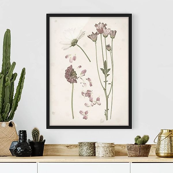 Bild mit Rahmen Blumen - Hochformat Herbarium in rosa II günstig online kaufen