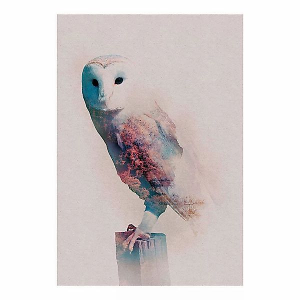 Komar Poster Animals Forest Owl Eule B/L: ca. 50x70 cm günstig online kaufen