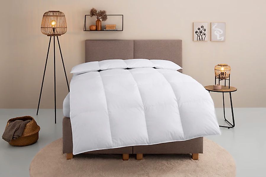 OTTO home Daunenbettdecke "Chevillon Bettdecke 135x200 cm, 155x220 cm und w günstig online kaufen