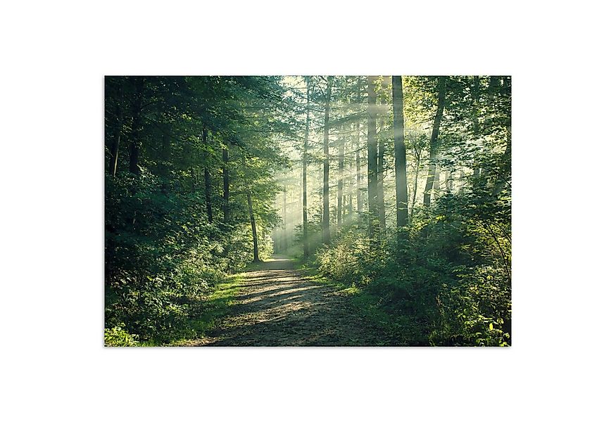 MuchoWow Poster Wald - Weg - Sonne - Bäume - Grün - Natur, (1 St), Poster o günstig online kaufen