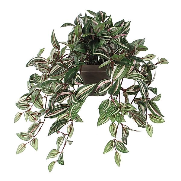 Kunstpflanze Mica Kunstpflanze Tradescantia hängend grün günstig online kaufen