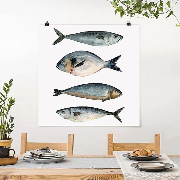 Poster Blumen - Quadrat Vier Fische in Aquarell II günstig online kaufen