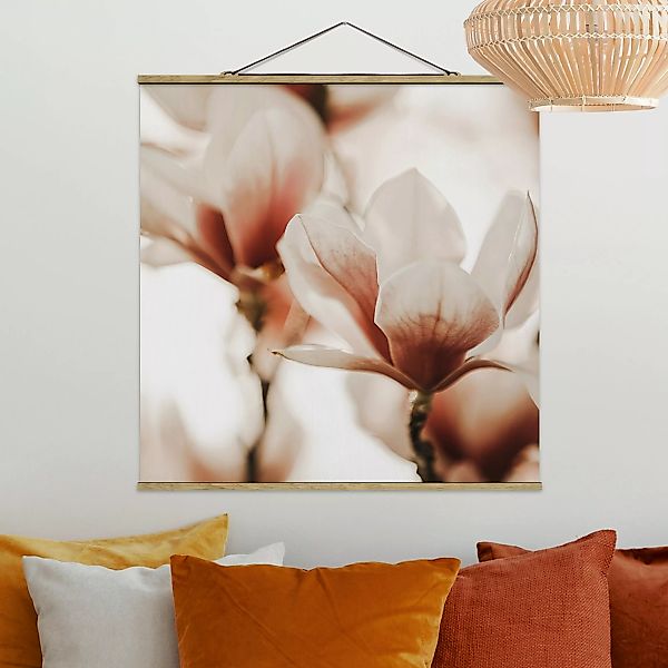 Stoffbild Zarte Magnolienblüten im Lichtspiel günstig online kaufen