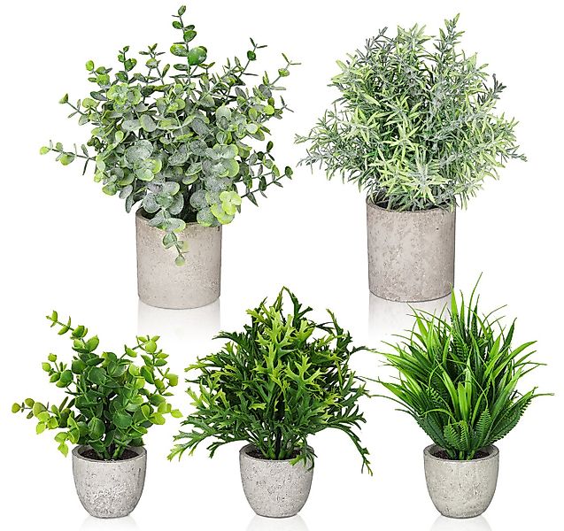 Künstliche Zimmerpflanze 5 Stück Mini Kunstpflanzen mit Töpfen Eukalyptus R günstig online kaufen