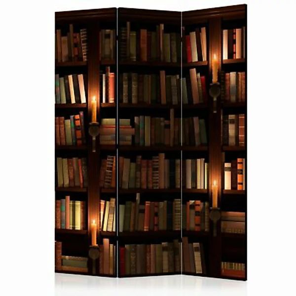 artgeist Paravent Bookshelves [Room Dividers] mehrfarbig Gr. 135 x 172 günstig online kaufen