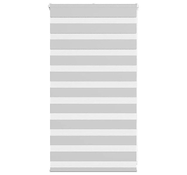 Rollo Doppelrollo Hellgrau 75x100 cm Stoffbreite 70,9 cm Polyester, vidaXL günstig online kaufen