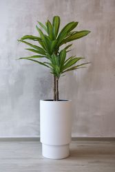 VIVANNO Blumentopf Fiberglas ESCADA Rund - günstig online kaufen
