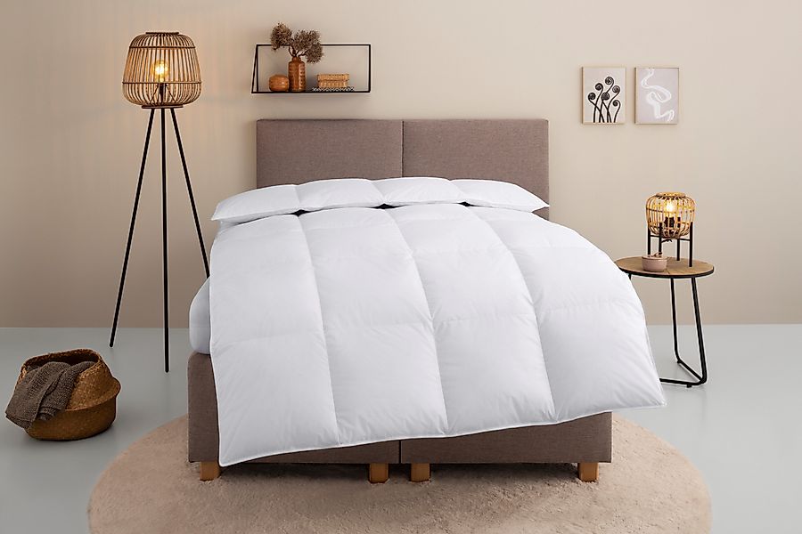 Home affaire Daunenbettdecke "Chevillon Bettdecke 135x200 cm, 155x220 cm un günstig online kaufen