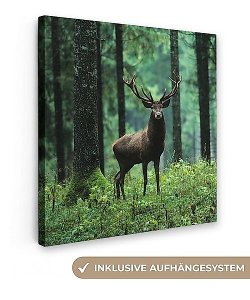OneMillionCanvasses® Leinwandbild Hirsche - Wald - Bäume - Tiere - Natur, F günstig online kaufen