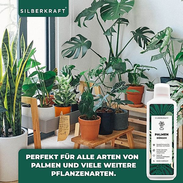 Silberkraft Pflanzendünger Palmendünger flüssig – Spezialdünger günstig online kaufen
