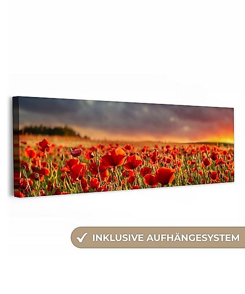 OneMillionCanvasses® Leinwandbild Panorama Sonnenuntergang - Mohnblumen - R günstig online kaufen
