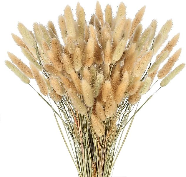Kunstblume 120 Stück Pampasgras Klein, Hasenschwanzgras günstig online kaufen