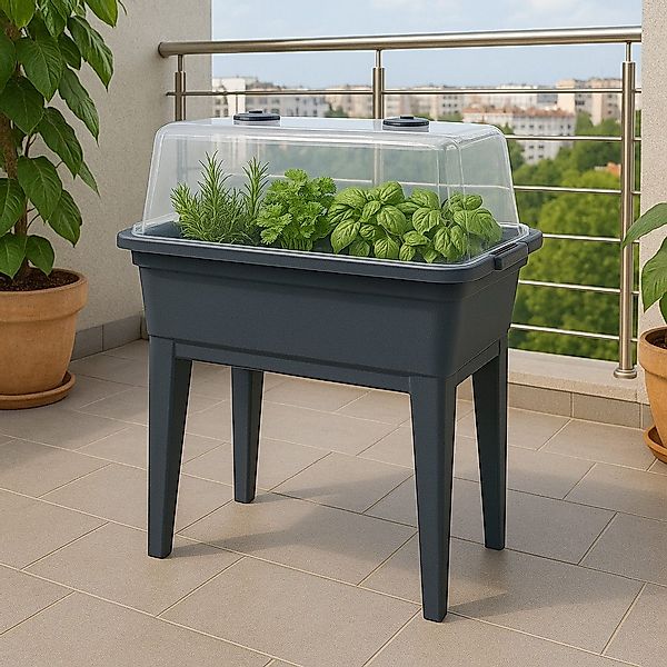 dynamic24 Hochbeet, inkl. Deckel Mini-Gewächshaus Frühbeet günstig online kaufen