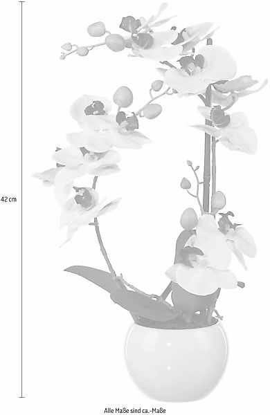 Kunstpflanze Phalaenopsis Orchidee, Creativ green, Höhe günstig online kaufen