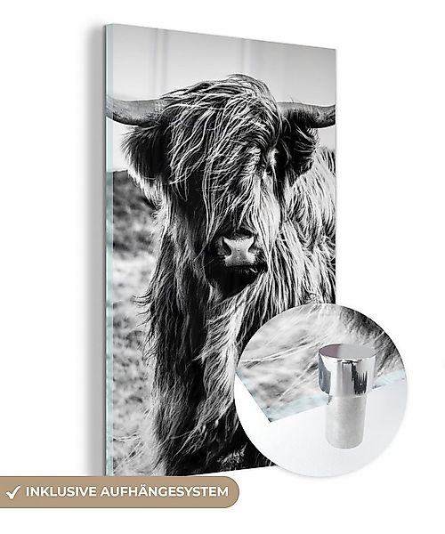 MuchoWow Acrylglasbild Schottischer Highlander - Natur - Kuh - Schwarz - We günstig online kaufen