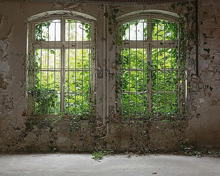Fototapete "Alte Fenster" 3,50x2,55 m / Strukturvlies Klassik günstig online kaufen