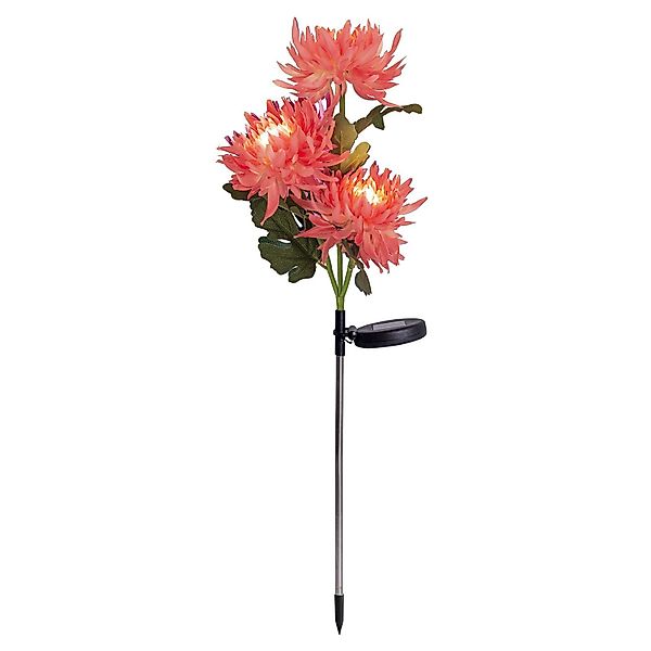 bmf-versand LED Solarleuchte Solarleuchte Garten Blume günstig online kaufen
