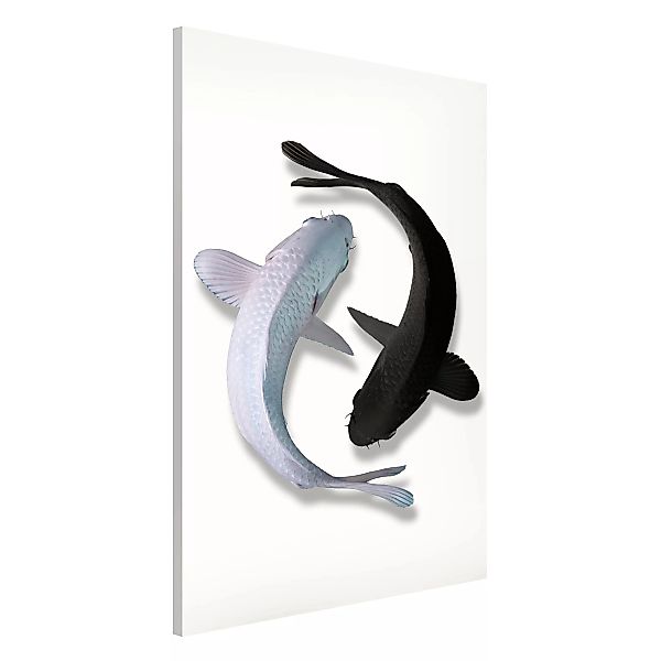 Magnettafel Tiere - Hochformat 2:3 Fische Ying & Yang günstig online kaufen