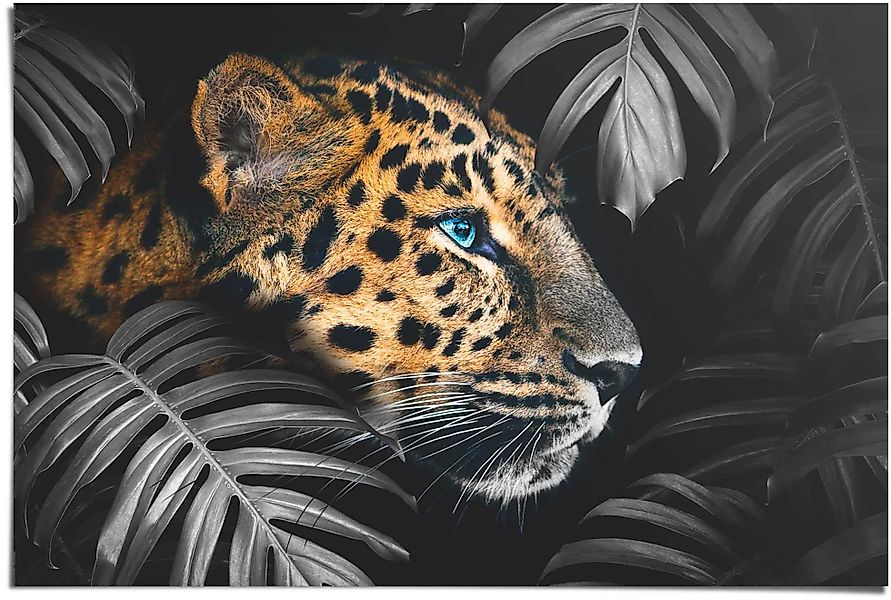 Reinders Poster "Leopard Jungle - Eyecatcher - Tiermotiv - Modern", (1 St.) günstig online kaufen