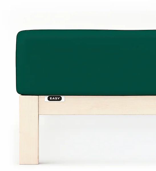 Schlafgut Spannbettlaken »EASY Jersey Elasthan«, MADE IN GREEN by OEKO-TEX® günstig online kaufen