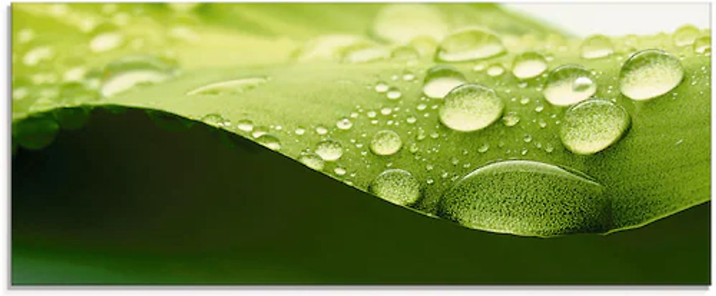 Artland Glasbild »Blatt« Zen 1 Stk. tlg. in verschiedenen Größen günstig online kaufen