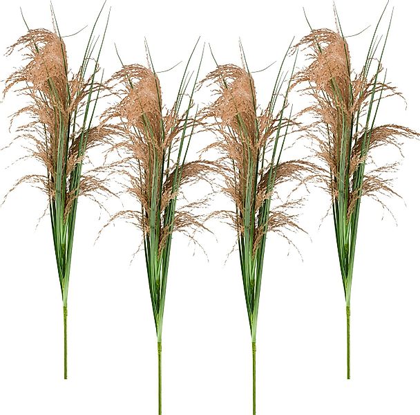 Kunstzweig Schilfgraszweig, Creativ green, Höhe 105 cm, mit täuschend echte günstig online kaufen