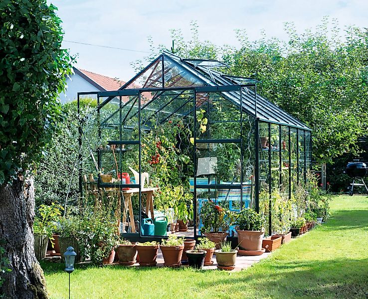 Vitavia Gewächshaus "Uranus 9900" günstig online kaufen