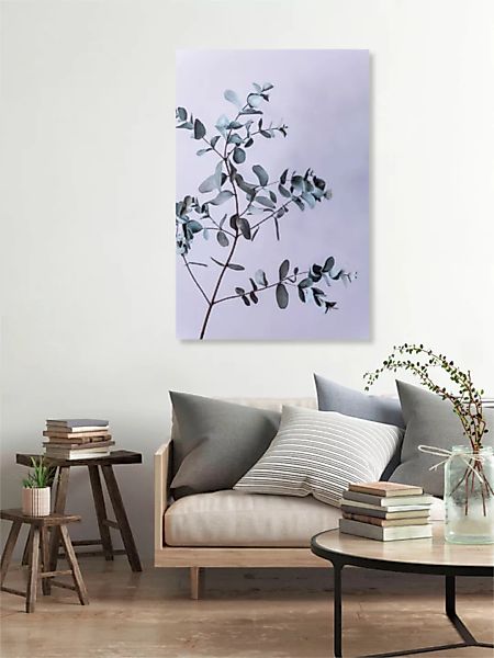 Poster / Leinwandbild - Eucalyptus 13 günstig online kaufen