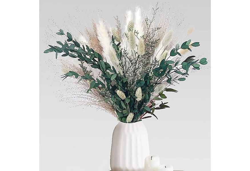 Trockenblume Pampasgras Getrocknet 65 Stück DIY Natürliche Trockenblumen De günstig online kaufen