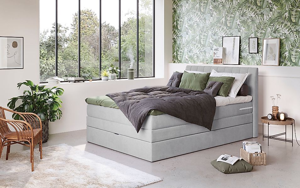 COTTA Boxspringbett »Shark inkl. Bettkasten und Topper« erhältlich in den B günstig online kaufen