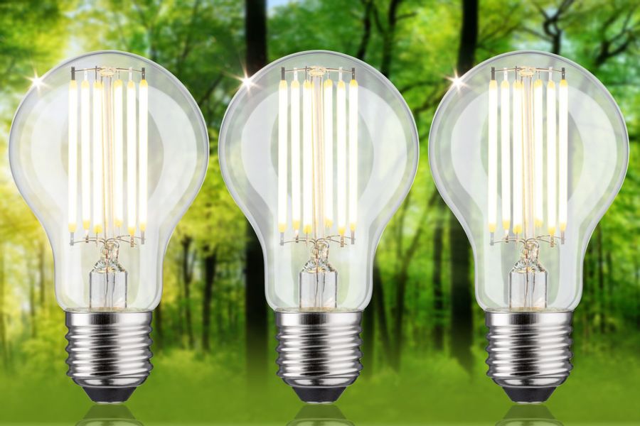 Paulmann LED-Leuchtmittel Eco-Line Filament 230V LED günstig online kaufen