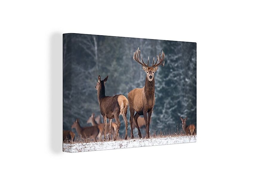 OneMillionCanvasses® Leinwandbild Waldtiere - Hirsche - Landschaft - Winter günstig online kaufen