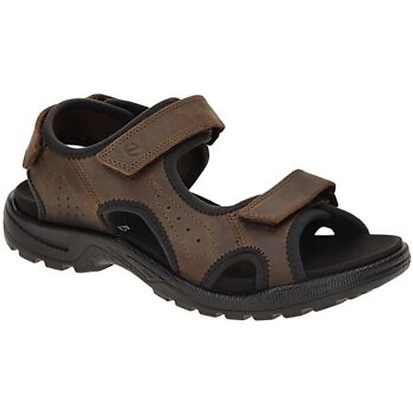 Ecco  Fitnessschuhe Sportschuhe REC.HIKE 532304/02482 günstig online kaufen