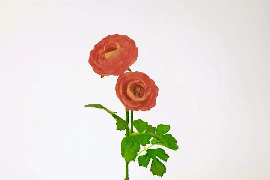 Kunstblume 4er Set Ranunkel 49,5 cm lang apricot von Werner Voss günstig online kaufen