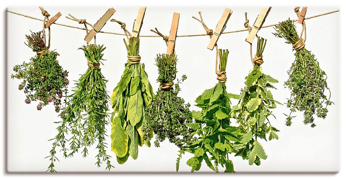 Artland "Kräuter" Pflanzen 1 Stk. tlg. als Alubild, Leinwandbild in verschi günstig online kaufen