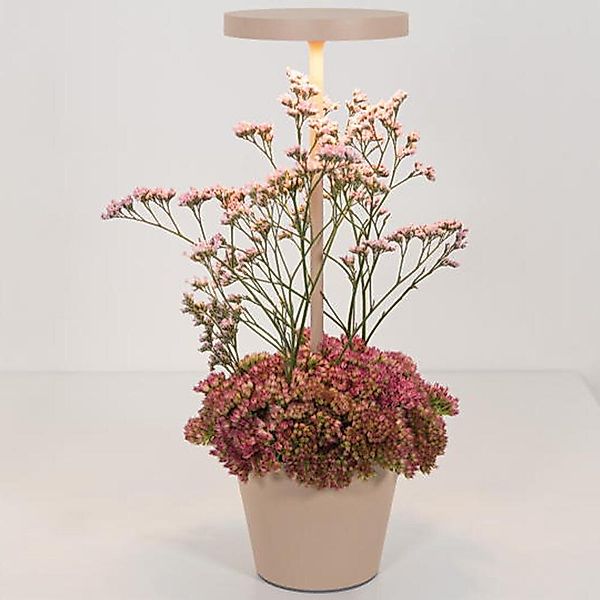 LED Akku Tischleuchte Poldina Reservo in Beige 2,3W 262lm IP54 günstig online kaufen