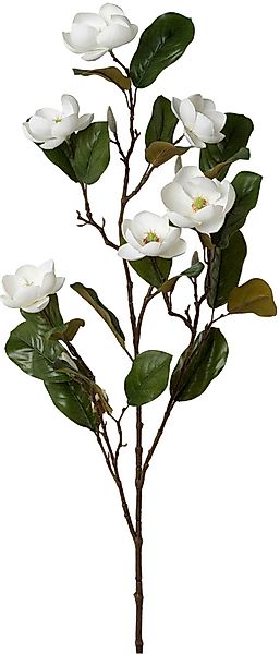 Creativ green Kunstblume "Magnolienzweig", mit zauberhaften Blüten günstig online kaufen