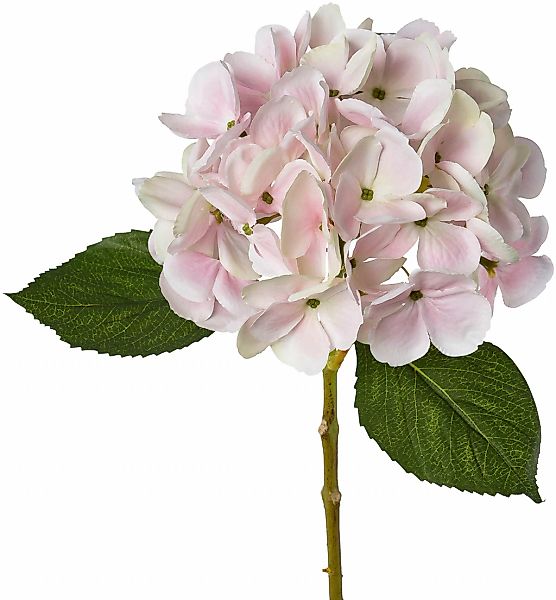 Creativ green Kunstblume "Hortensie" günstig online kaufen